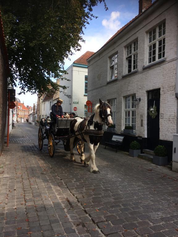 Gasthof Guestsuite Lady Anna 4*